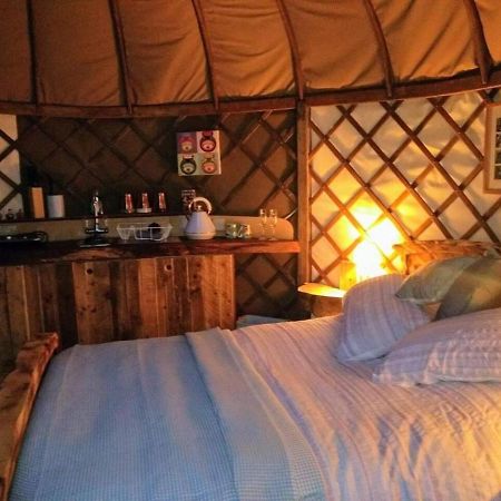 Vila Bembridge Harbour Yurt - Log Burner - Wifi Exteriér fotografie