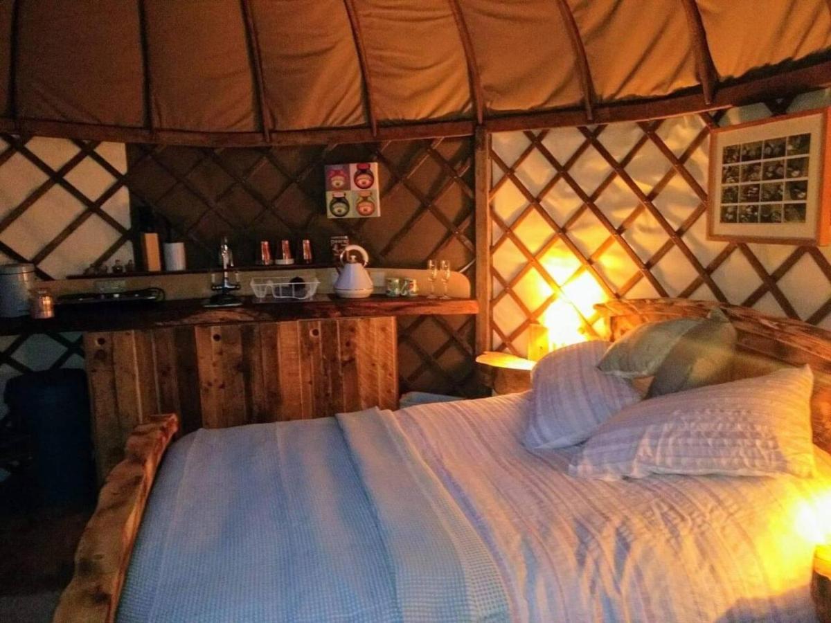 Vila Bembridge Harbour Yurt - Log Burner - Wifi Exteriér fotografie